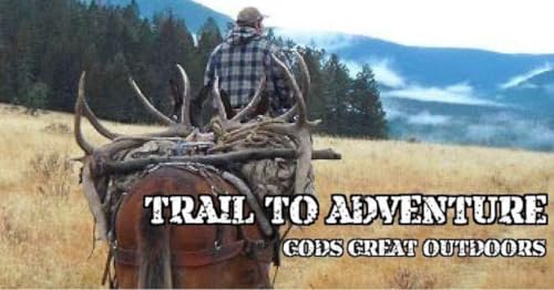 Couverture de Pursued By The Father &ndash; Terry Gross