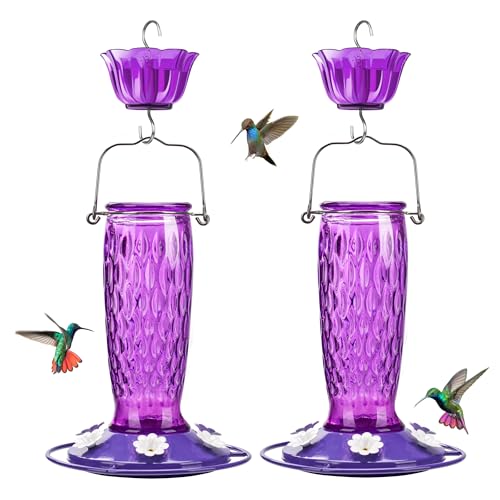 Kingsyard 2 Pack Glass Hummingbird Feeders for Outdoors Hanging Wild Bird Nectar Feeder with 6 Feeding Ports 20 oz Leak-Proof Purple (Ant Moat Included)