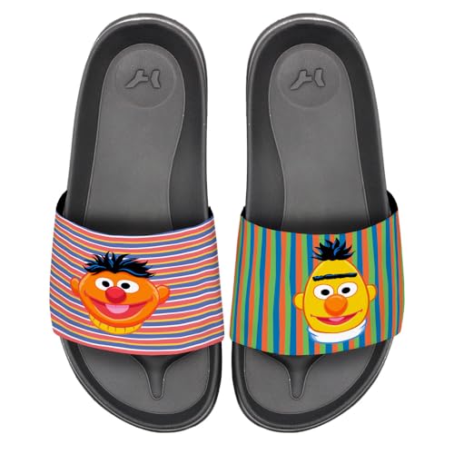 Popfunk Sesame Street Bert Ernie Face Unisex Adult Slides Sandals Officially Licensed Hypd Slydr Switch™
