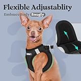 rabbitgoo Dog Harness Small Dog, Step-in Soft Mesh Puppy Harness with Reflective Strips, Lightweight Breathable Pet Vest for Walking Training, Black, XS - Image 8