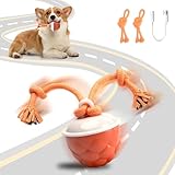 Trois modes pour divertir votre animal : Ce jouet propose trois modes réglables : le mode rapide (lumière bleue), parfait pour les chiens énergiques et joueurs ; le mode lent (lumière violette), idéal pour les chiens plus âgés ou calmes ; et le mode interactif (lumière jaune), offrant une variété d'expériences de jeu pour répondre aux besoins et préférences de votre chien.