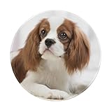 【Imperméable et facile à nettoyer】Un revêtement imperméable empêche les fuites de liquide et les dommages accidentels. Imperméable, résistant à la poussière et à la transpiration.