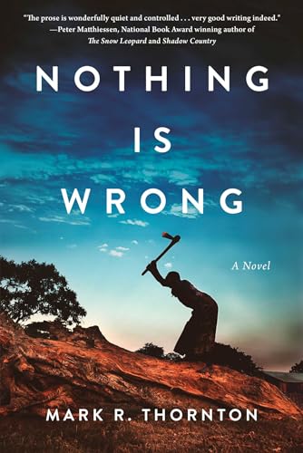 Nothing Is Wrong: A Novel