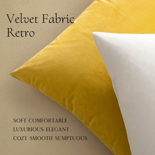 Image of Pack of 2,Miulee Velvet Soft Soild Decorative Square Throw Pillow Covers Set Cushion Case for Sofa Bedroom Car18 x 18 Inch 45 x 45 Cm
