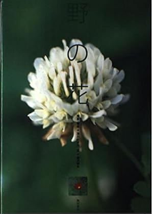 野の花』｜感想・レビュー - 読書メーター