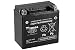 Produktbild YUASA BATTERIE YTX14H-BS AGM offen mit Saeurepack HP
