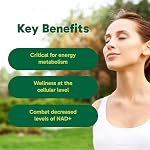 Organika Canadian-Made NAD+ Booster - NRC - pour Métabolisme énergétique, Vieillissement en santé, Vitamine B3, et de santé cellulaire - 60vcaps, 60 Fourniture de jour