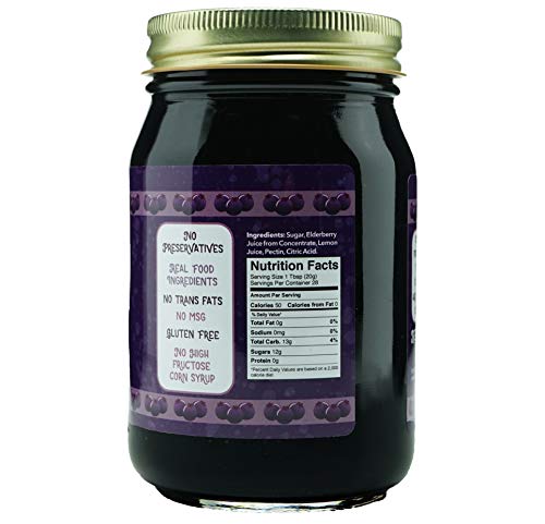 image for Green Jay Gourmet Elderberry Jelly – All-Natural Jam with Elderberri