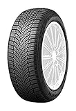 Kraftstoffeffizienz: C Nexen Winguard Snow\'G WH2 M+S - 205/60R16 92H - Winterreifen