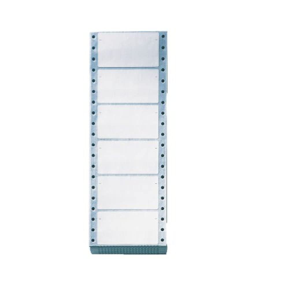 Leitz 66420000 Description Labels Self-Adhesive on Strips with Film-Strip Punched Holes at the Edges Pack of 1002 White