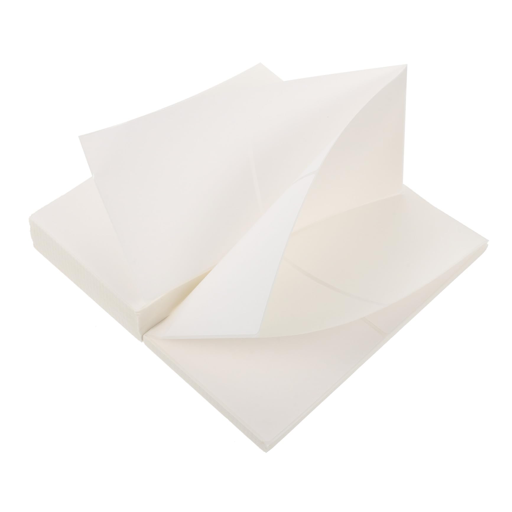 Etichette Termiche Adesive Bianche 100x100 Mm 500 Fogli | Carta Autoadesiva, Formato per Cartellini Prezzo e Piantine, Uso Multiuso