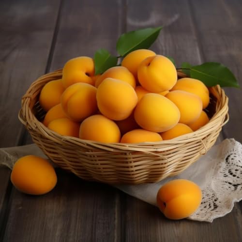 semillas resistentes de albaricoquero semillas de columnares albaricoque, jardín 12pcs