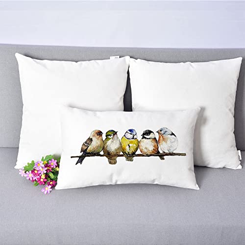 Rabusofa Watercolor Birds Pillows Decorative Throw Pillows 12X20,Hand-Painted Oil Painting Rustic Birds Lumbar Pillow Cases,Cute Colorful Spring Decorations For Home Couch Sofa Outdoor #TOP1
