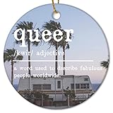 Queer Definition Weihnachten Keramik Ornamente Spruch Zitate Weihnachten Hängende Ornamente 7,6 cm doppelseitig bedruckte lustige Weihnachtsgeschenke für Familie Freunde Eltern