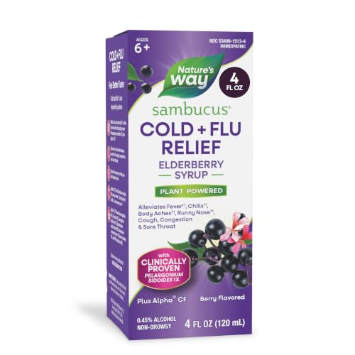 Nature's Way Sambucus Cold + Flu Relief Syrup