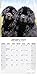 Newfoundland Calendar - Newfoundland Dog Calendar - Dog Breed Calendars - 2023 - 2024 wall calendars - 16 Month by Avonside