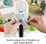 Fisher-Price FWY41 Animal Wonders Jumperoo Music, White, 1 Count (Pack of 1) - Image 4