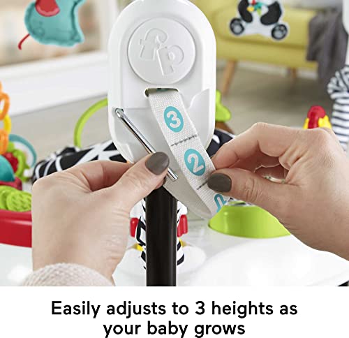 image for Fisher-Price Baby Bouncer Pink Petals Jumperoo Musical Activity Center