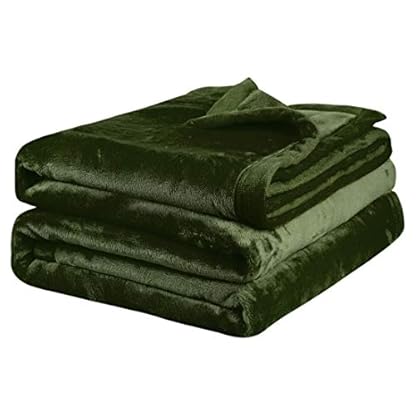 PiccoCasa Kuscheldecke Tagesdecke Fleecedecke mit Rand Microfaser Decke Weiche Warme Leichte Decke 330GSM für Bett Sofa usw. Grün 230x275cm
