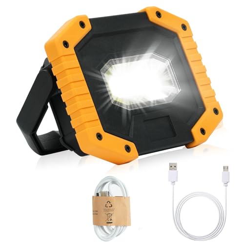 flintronic Rechargeable LED Work Light, 30W Portable COB Floodlight Waterproof Camping Lights, 3 Modes Security Lights Outdoor for Garage Hiking Fishing Emergency (Batteries Included)