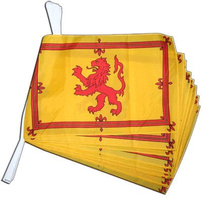 Guirlande Ecosse Royal Digni de 8,9 m pour decoration festive
