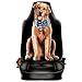 Produktbild Auto Sitzbezug - Treuer Hund - Der beste Freund - lustiger Sitzbezug mit Fotodruck Motiv - ein Hingucker mit Humor für Ihr Auto