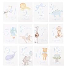 Baby First Holiday Cards - First Year Cards,Monthly Milestone Baby Shower,Milestone Monthly Holiday Photo,Photo Props blue
