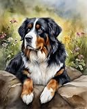 QACEYID DIY Paint by Numbers for Adults Bernese Mountain Dog on A Rock in The Mountains DIY Oil Painting Drawing Canvas with Brushes Art Decorations 40x50cm, No Frame