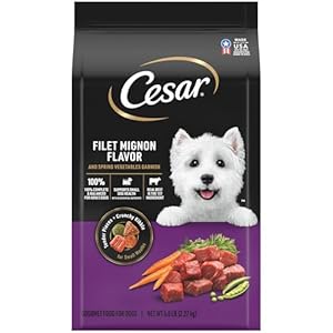 CESAR Adult Small Breed Dry Dog Food, Filet Mignon Flavor with Spring Vegetables Garnish, 5 lb. Bag CESAR Adult Small Breed Dry Dog Food Filet Mignon Flavor with Spring Vegetables Garnish 5 lb Bag