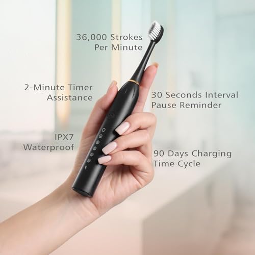 Image of Sonic Electric Toothbrush | Waterproof Rechargeable Toothbrush with Replaceable Brush Heads | Cosmic Lite Sonic Toothbrush with 6 Modes, 4 Brush Heads, 1 Interdental Head - Pack of 1 Black Color