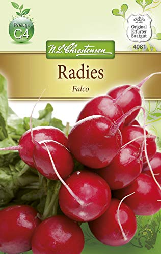 N.L. Chrestensen 4081 Radies Falco (semilla de rábano)