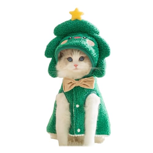 NX}X ybg RX`[ ybgpi  L RXv  JWA ӂӂ _炩 ϐg  ^ O[/uE (O[, L)