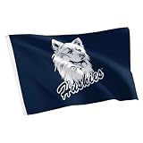 Desert Cactus University of Connecticut Flag 3x5 Outdoor (Vintage B)