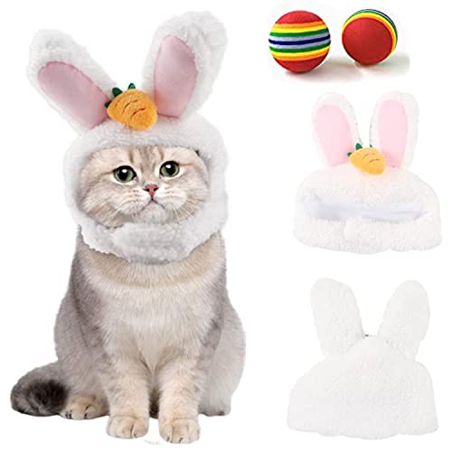 ybgXq  L RXv Lbv ETMRXv  ϐg 킢 ybgpi g h 蕨 wbhMA }WbNe[v ߉\ EȒP  RX`[ ϐg Lp 2023N x KN e LOBe N v