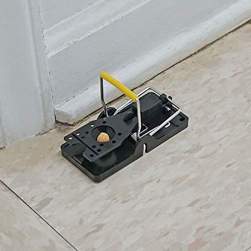 Itrap Easy Set Snap Mouse Traps W/ Bait Cups, 6 Pack Simple Deadly Rodent Pest Control For Home Or Office #TOP5