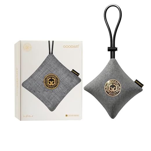 GOODAIR HEPA Car Air Purifier Bag & Pouch | 75g Activated Carbon Filter, Absorb Toxic Gases, 2.0 Premium Certified Air Purifier, Suitable for All Cars, 24/7 Air Purification - Elegant Silver