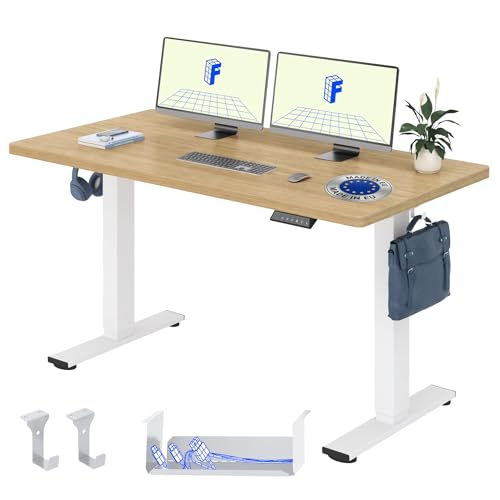 FLEXISPOT Höhenverstellbarer Schreibtisch Basic 160x80cm