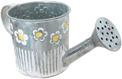 BESPORTBLE Home Decoracion Home Decor Metal Planters Bucket Watering Pot Shaped Flower Holder Container Art Craft Tabletop Flower Vase for Home Office Decoración Vintage Cactus Decoracion