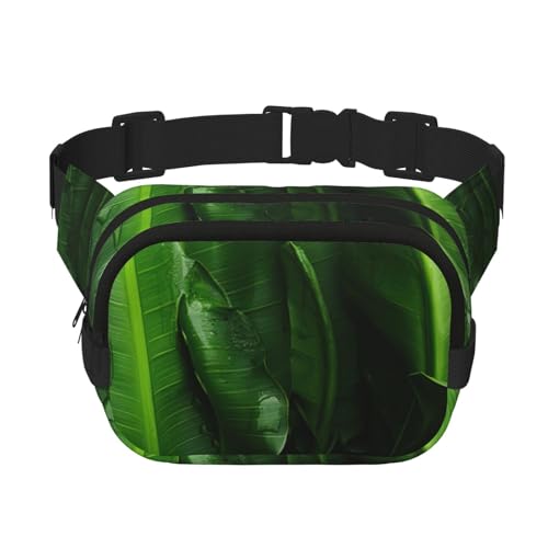 Estampado de hojas de plátano frescas