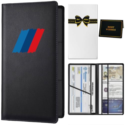 Organizador para Documentos de Auto Compacto