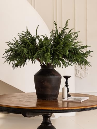 MISSPIN 10 Pcs 31 Inches Norfolk Pine Branches, Artificial Christmas DIY Crafts Faux Branches for Xmas Indoor Outdoor Home Decor