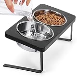 Siooko Elevated Cat Bowls, 15° Tilted Raised Cat Food Bowls Anti Vomiting Raised Dishes for Food and Water, Stainless Steel Material for Cats and Puppy