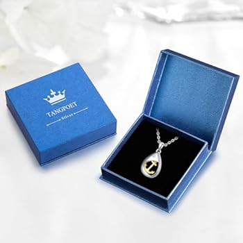 Mini Hart Crematie Urn Ketting Voor As Rvs Memorial As Hanger Keepsake Sieraden voor Vrouwen Mannen (Staal