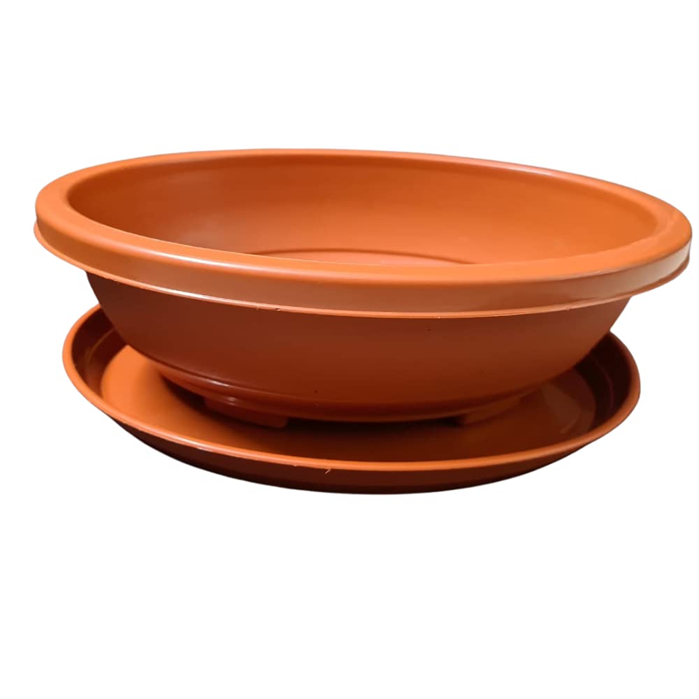 Naturally Green Bonsai Pot Planter/Flat Pot Planter for Greens/Flat Pot Planter for Small Plants Flat Pot Planter for Seedling Starter with Bottom Tray – Multicolor (12" Pack of 5)