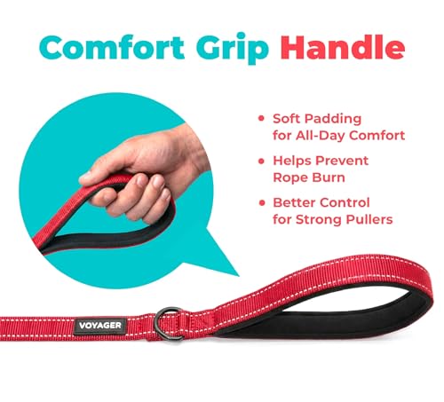 Image of Best Pet Supplies Voyager Reflective Dog Leash or Collar with Neoprene Handle, for Small, Medium, and Large Breed Puppies, Cute and Heavy Duty for Walking, Running and Training - Red (Leash), L