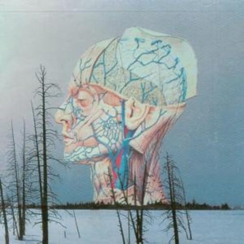 Songs For a Dead Pilot