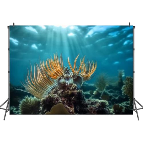 7x5FT Florida Keys Photography Backdrop Background Cloth Portrait Photo Booth
