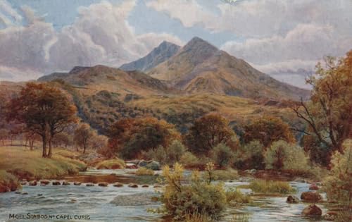 Tableau Snowdonia Alfred Robert Quinton pour la déco du salon