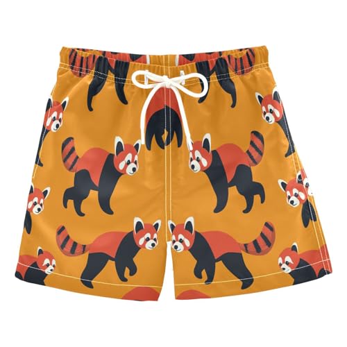 Jucciaco Boys Swim Trunk Quick Dry Beach Board Shorts Raccoon Panda Bear Swimwear for Kids Multicolor