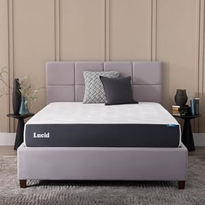 Lucid 10 Inch Memory Foam Mattress ...